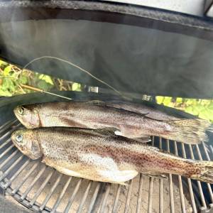 kamado-raeucherforelle_4.jpeg