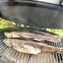 kamado-raeucherforelle_4.jpeg